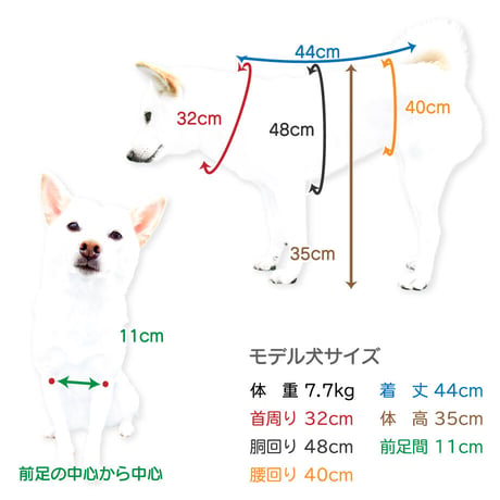 キュートプリントタンク