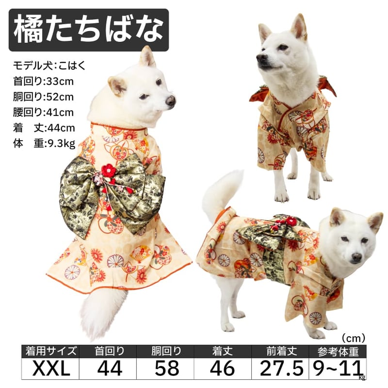 送料無料 愛犬用着物 XL XXL （7〜11kg） | 柴犬の服屋さんONE歩