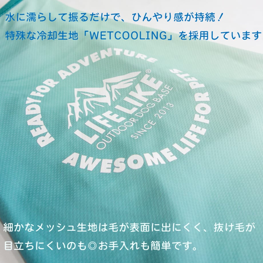 69b269ed6c682107e00f25db