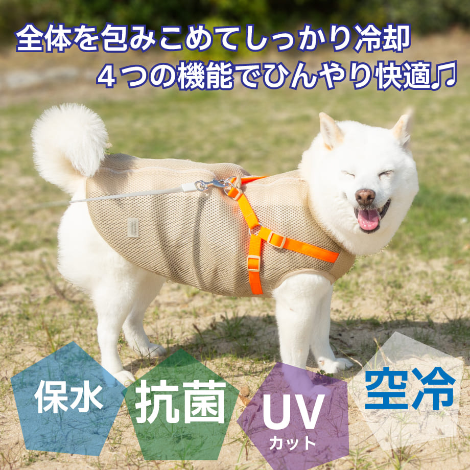 67bfd0791b359a00a70a2a17