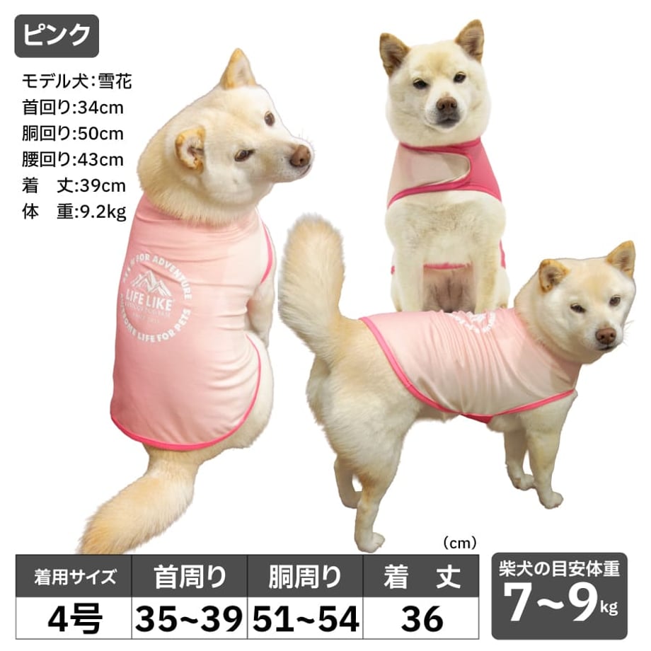 69b269ed6c682107e00f25db