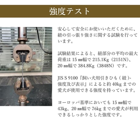 TREKNINE カラー ダブルリングメッシュパッド S M L
