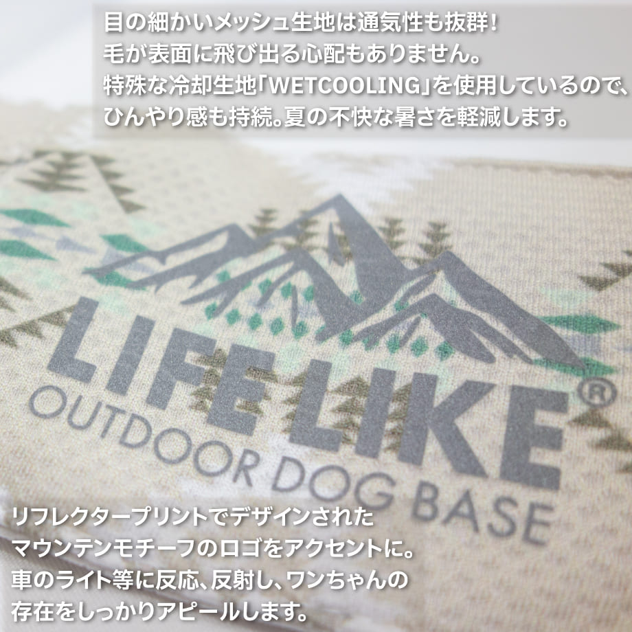 67f77b36e0c48f411dc4c4f6