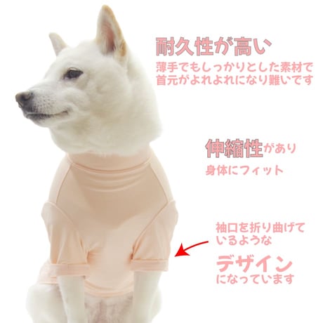 COOL+MOSCAPE ロゴプリントメッシュTシャツ XXL ～10kg 在庫限りで終売