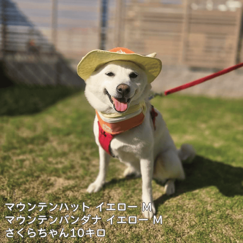 ドッグ バンダナ PM ICEマウンテンバンダナ S M L 26〜46cm | 柴犬の服屋さんONE歩