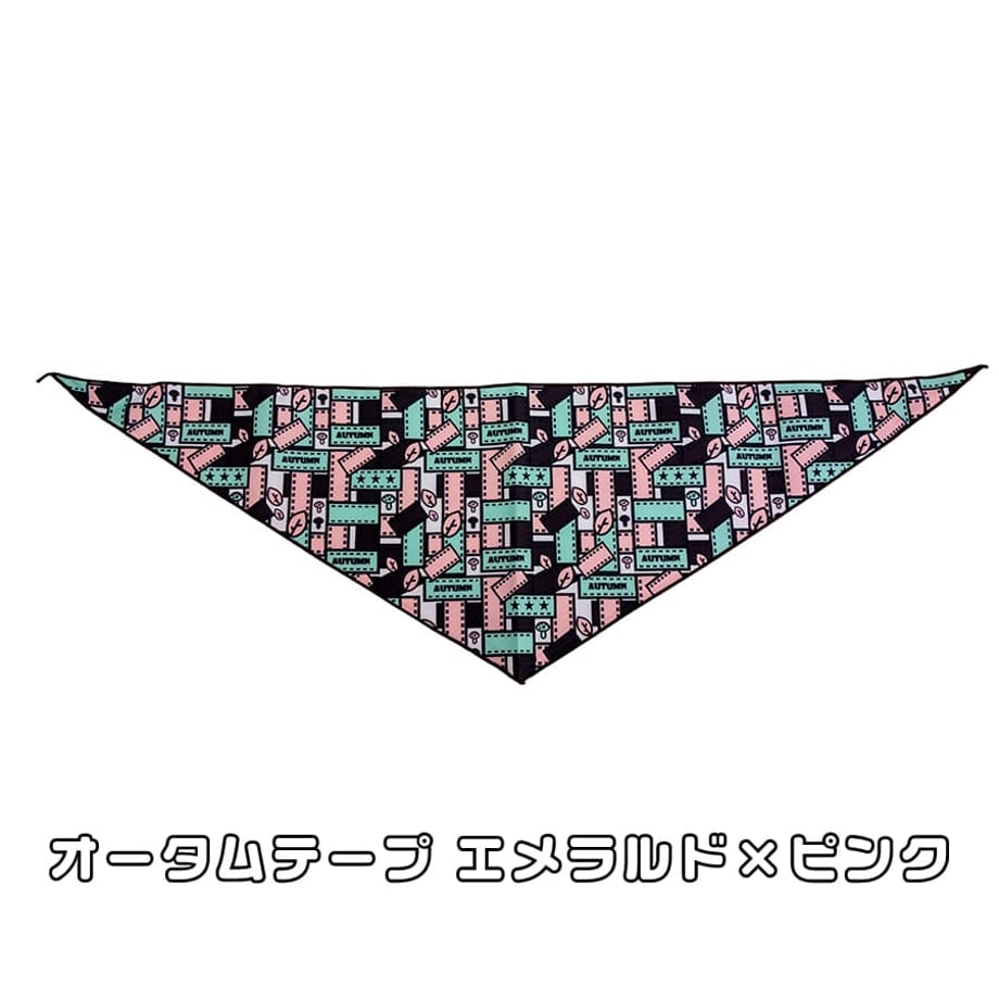 65e7f43499e93c002b6be64e