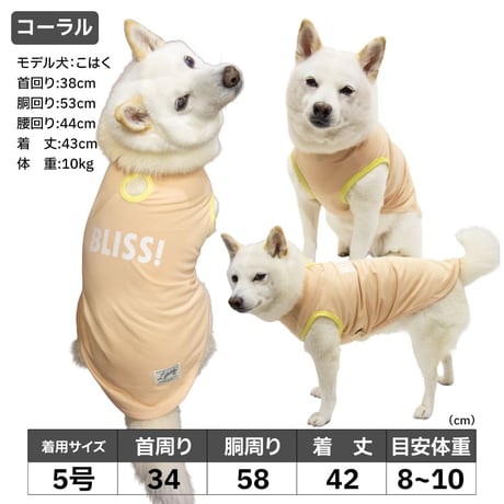 サンカラーチェンジロゴタンク 柴犬目安体重 8～12kg