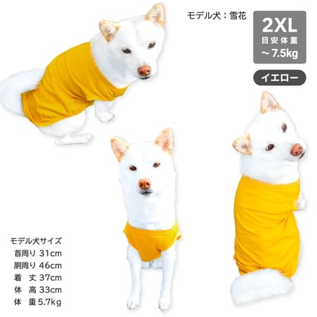 訳あり商品 シンプルカラータンク