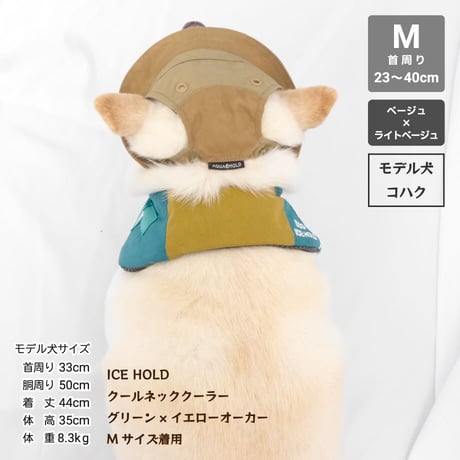 【在庫限り】AQUA HOLD ひんやりアクティブハット 首周り23～40cm