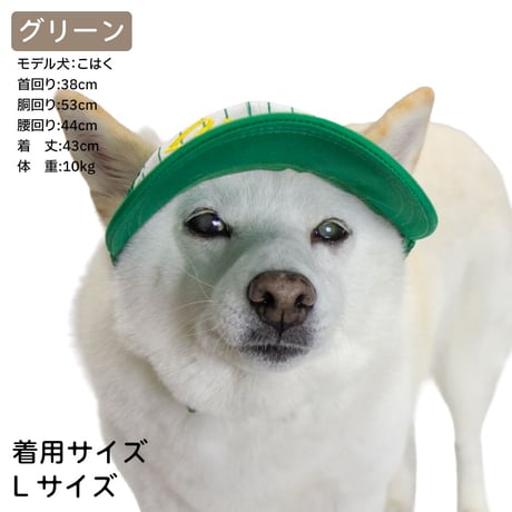 ベースボールキャップ