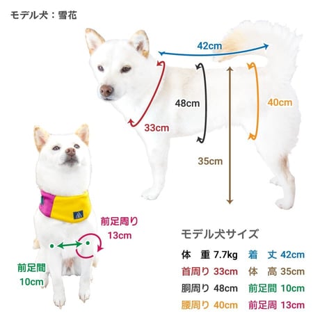 【送料無料】AQUA HOLD Wクールタンク ～7kg・～9kg・〜11kg【LargeM完売】在庫限り