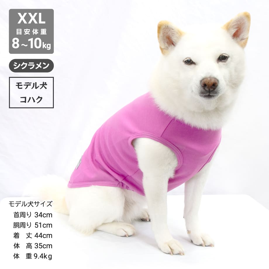 65b742a2e70d970a416b01cb