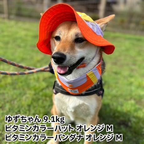 ビタミンカラーバンダナ S M L 保冷剤付き 首周り26〜46cm