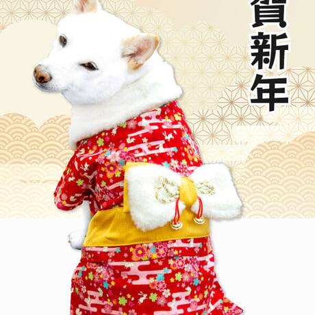 【送料無料】うさぎ晴れ着 8～10kg