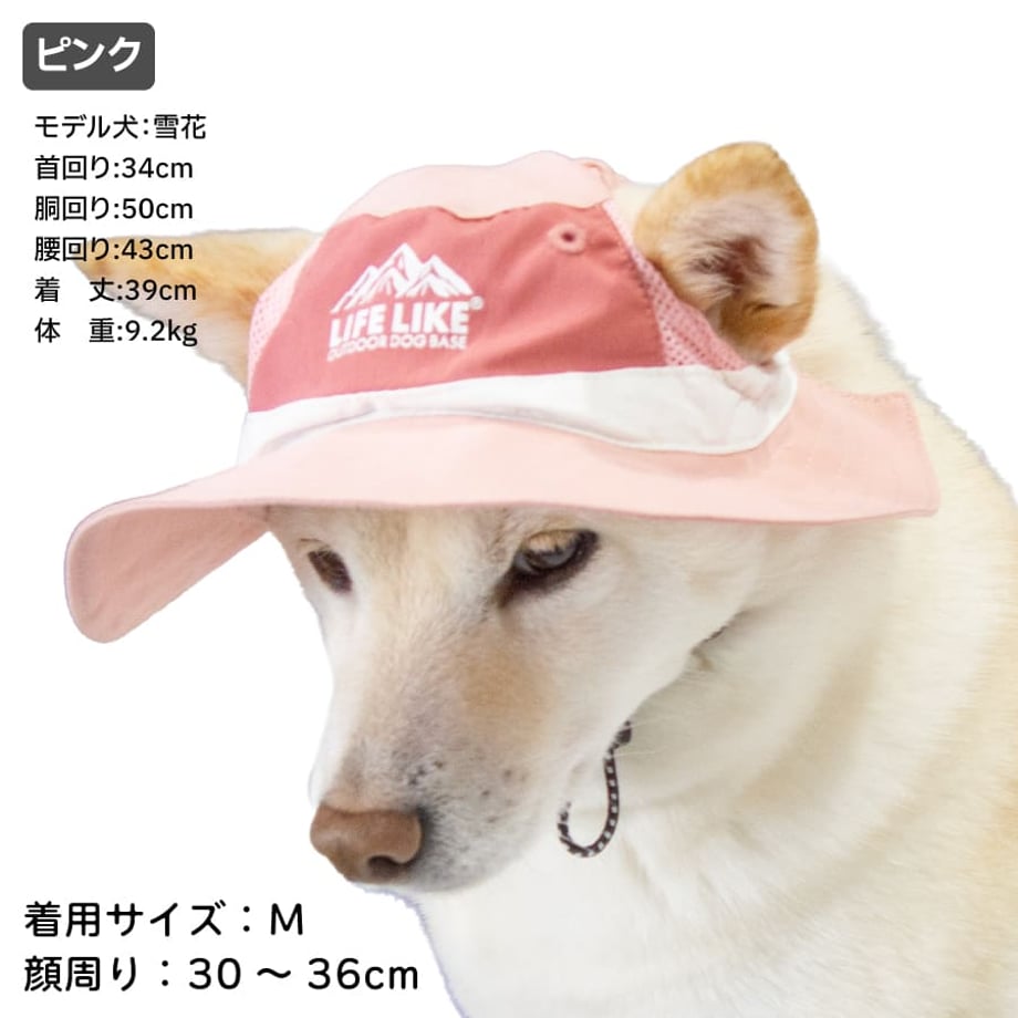 69cb2f5ec994305e182fdd8e