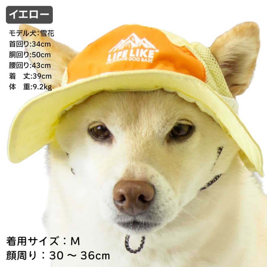 69cb2f5ec994305e182fdd8e