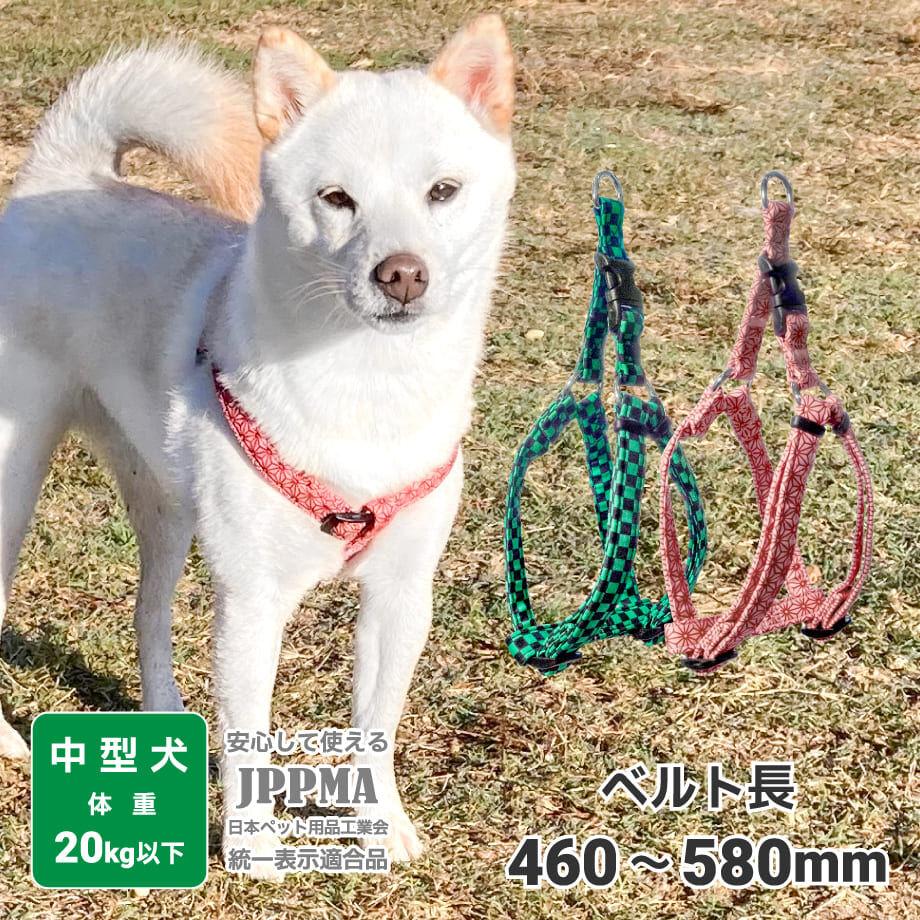 636a0adfc808a41aca6274d1