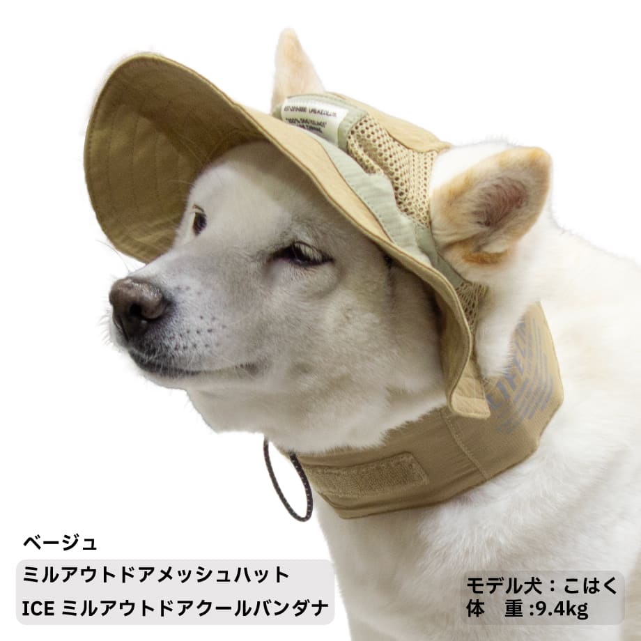 67fc6296e70d976414c640e8