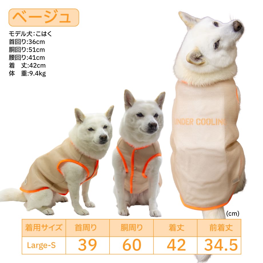 67bfc55023b5d00331cb85ee