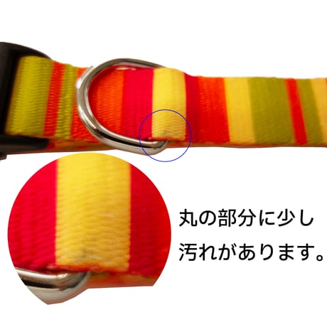 【訳あり商品】レインボーカラー 中型犬用 ～20kg