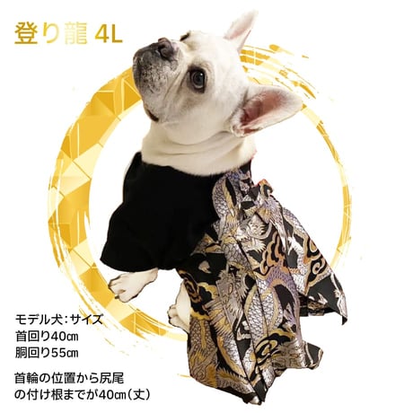 ONE歩オリジナル 高級袴 登り龍【3L完売しました】