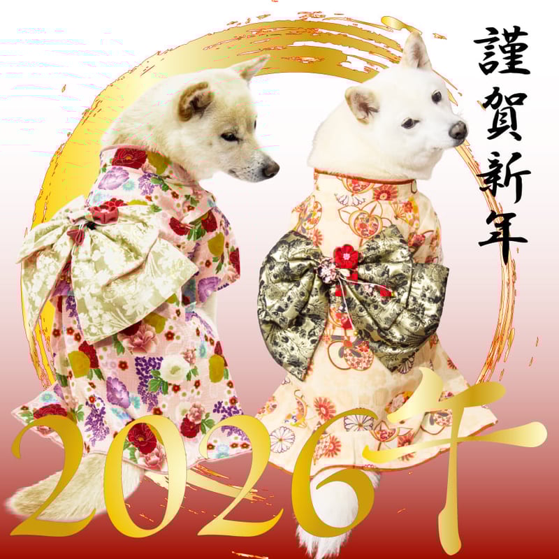 送料無料 愛犬用着物 XL XXL （7〜11kg） | 柴犬の服屋さんONE歩