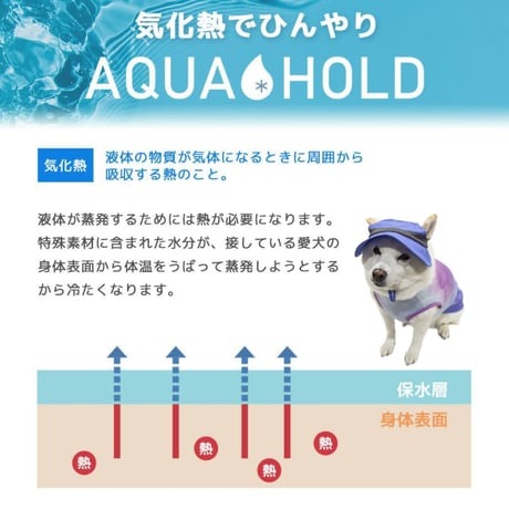 AQUA HOLD ひんやりアクティブハット M（顔回り：26~44cm）L（顔回り：30.5~52.5cm）