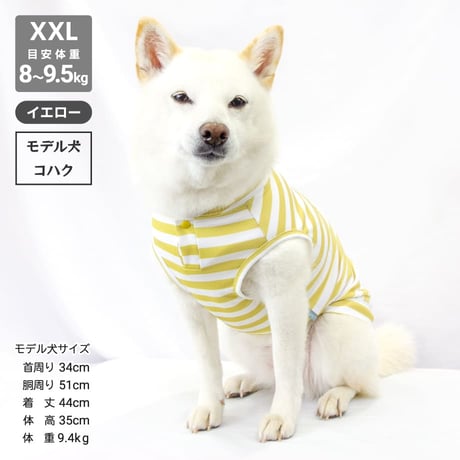 【送料無料】COOL ME ロゴプリントタンク XL 6～7.5kg 【在庫限り】
