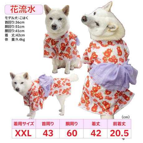 【送料無料】華やか大輪帯浴衣 6～10kg