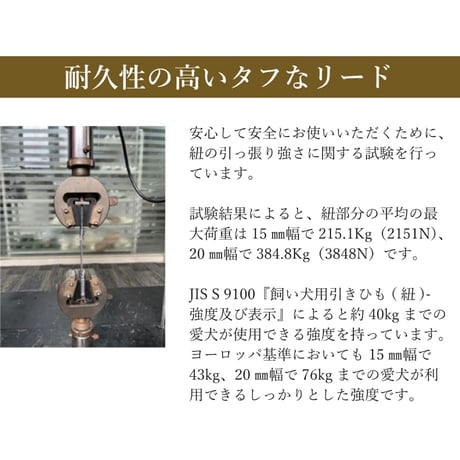 TREKNINE コンフォートリード M L