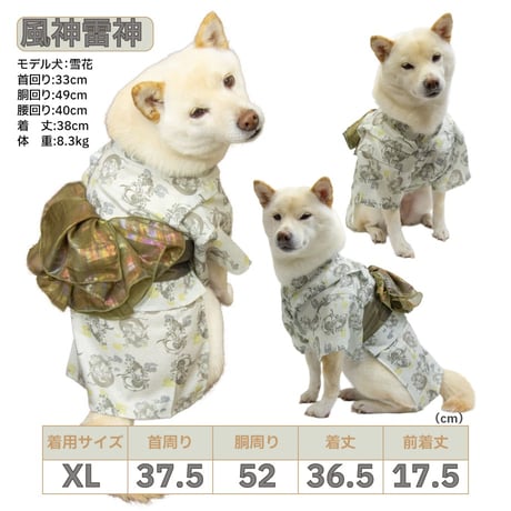 【送料無料】華やか大輪帯浴衣 6～10kg