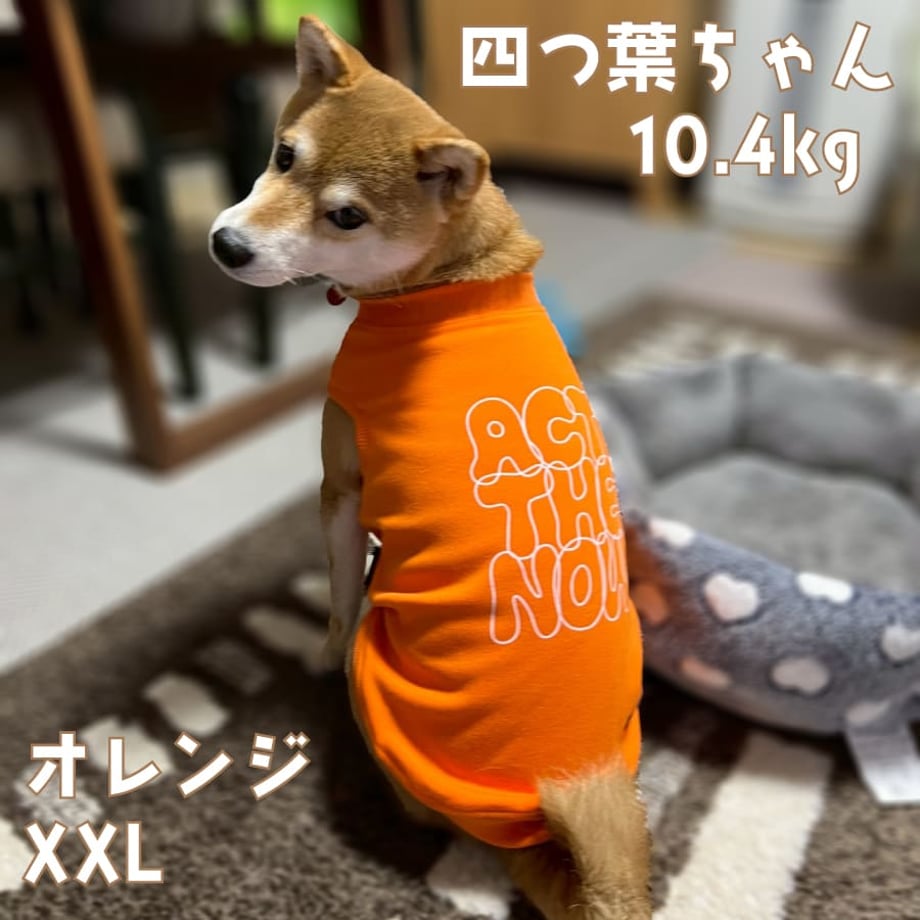 68d0f1b14cf9ac004aa18802