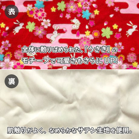 【送料無料】うさぎ晴れ着 8～10kg