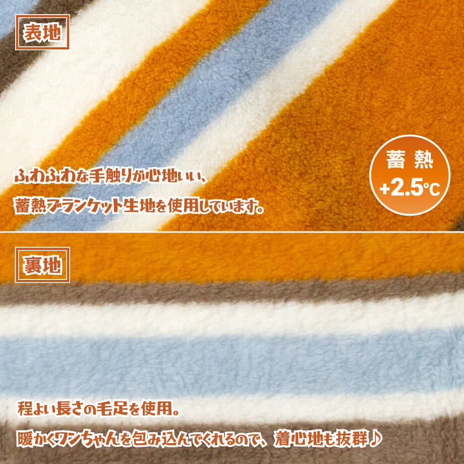 65166cb3ec1f7a29fcf1ba13