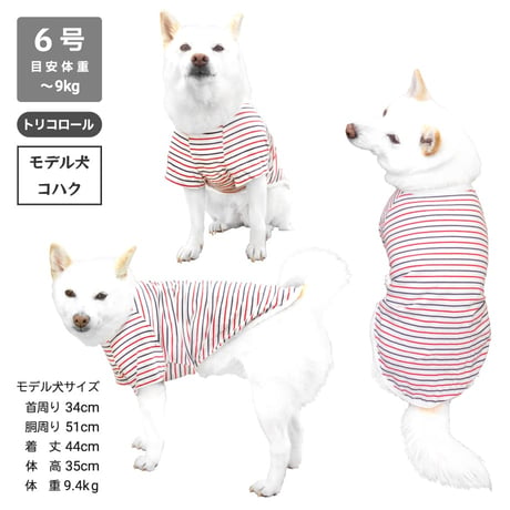 コットンTシャツ 5号・6号・7号  6.5kg～12kg