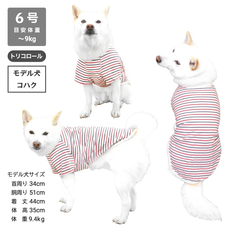 コットンTシャツ 5号・6号・7号 6.5kg～12kg | 柴犬の服屋さんONE歩