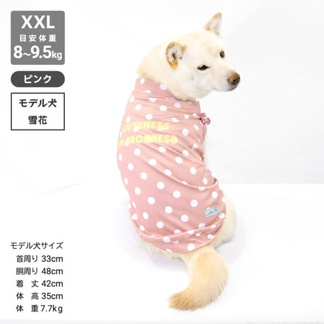 【送料無料】COOL ME ロゴプリントタンク XL 6～7.5kg 【在庫限り】