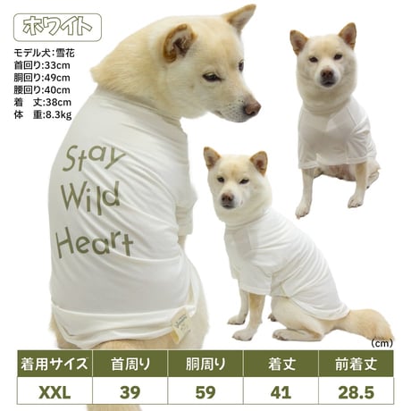 COOL+MOSCAPE ロゴプリントメッシュTシャツ XXL ～10kg 在庫限りで終売