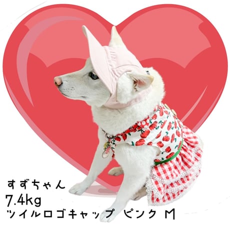 ツイルロゴキャップ M L XL 顔周り30〜56cm