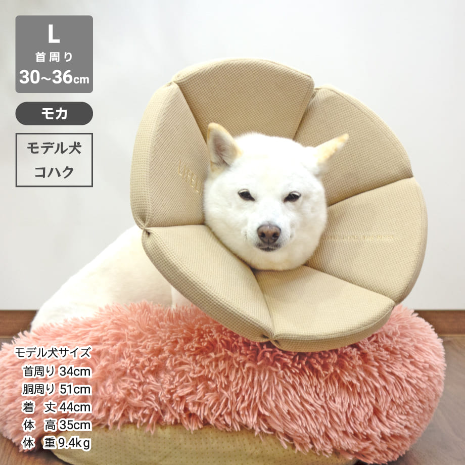 65bca0dbccd49a456676cfbf
