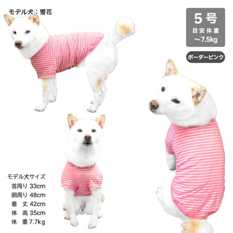 コットンTシャツ 5号・6号・7号  6.5kg～12kg