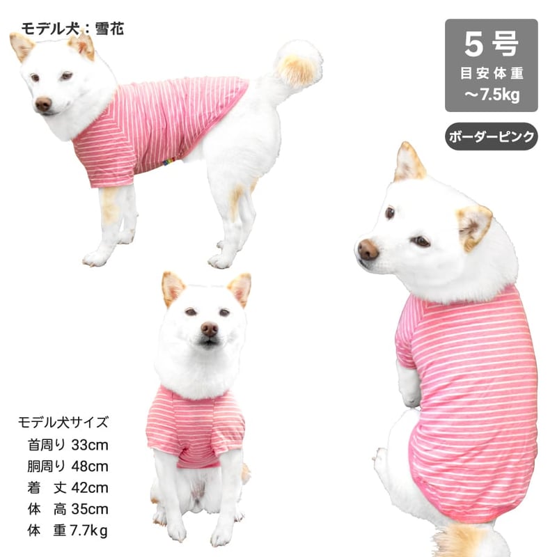 コットンTシャツ 5号・6号・7号 6.5kg～12kg | 柴犬の服屋さんONE歩