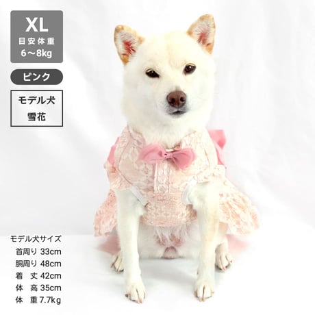 ウェディング風レースワンピ  8～10kg XL XXL【在庫限りで終売】