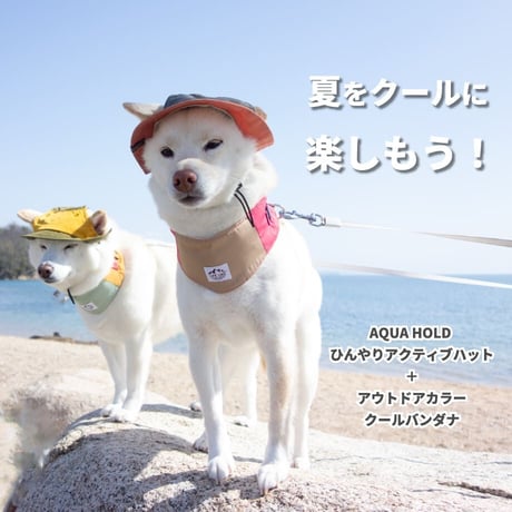 【在庫限り】AQUA HOLD ひんやりアクティブハット 首周り23～40cm