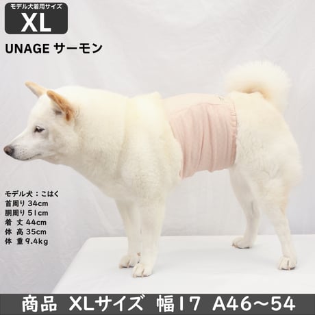 unage ウェルネス 体幹安定 温活 リラックス腹巻き 腹回り 27.5~54㎝