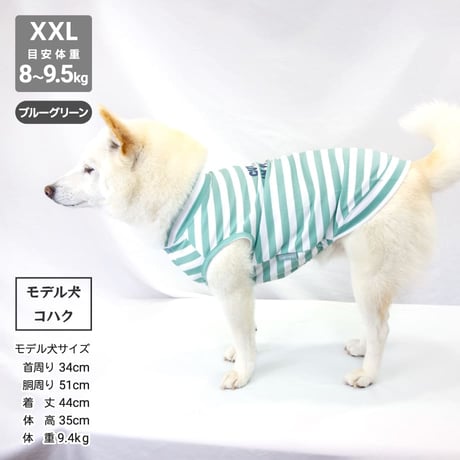 【送料無料】COOL ME ロゴプリントタンク XL 6～7.5kg 【在庫限り】