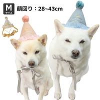 プレシャス バースデーハット M 顔回り28～43cm