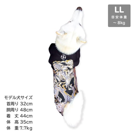 ONE歩オリジナル 高級袴 登り龍【3L完売しました】