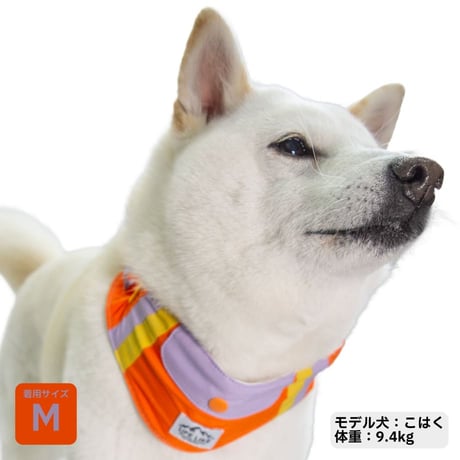 ビタミンカラーバンダナ S M L 保冷剤付き 首周り26〜46cm