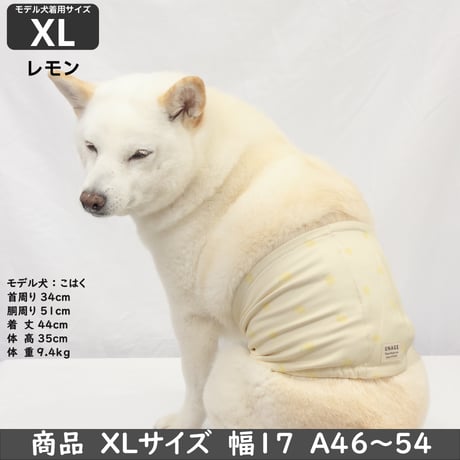 unage ウェルネス 体幹安定 温活 リラックス腹巻き 腹回り 27.5~54㎝
